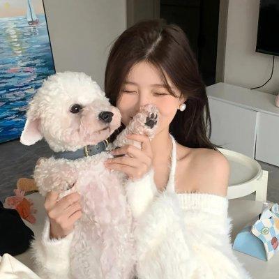 天才玩偶日语版